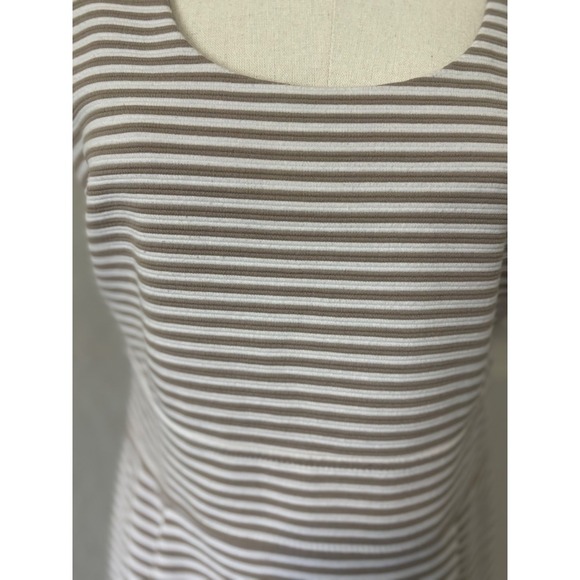 Banana Republic Striped Sleeveless Career Dress‎ Pleated Petite 10P - Picture 2 of 7